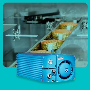 Bomba de vacío para alimentación, Bomba de vacío packaging alimentos, conservar alimentos al vacío, Bomba de vacío Mexico, Bomba de vacío Becker, Compresor Becker, Sistemas de vacío, Bomba de vacío para alimentación, Bomba de vacío packaging alimentos, conservar alimentos al vacío